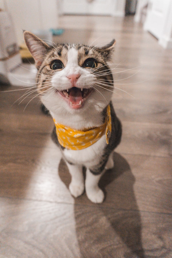 猴子在自然环境中